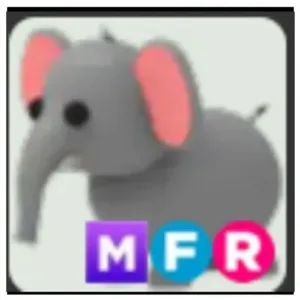 MFR ELEPHANT