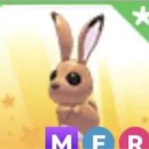 MFR HARE