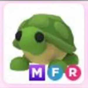 MFR Turtle