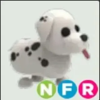 NFR DALMATION