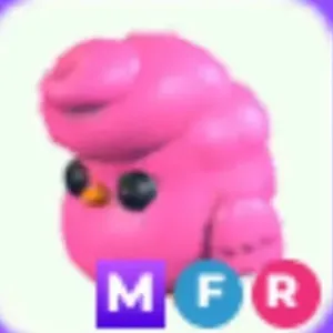 MFR CANDYFLOSS CHICK