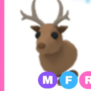 MFR reindeer