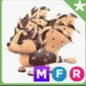 MFR CCBD