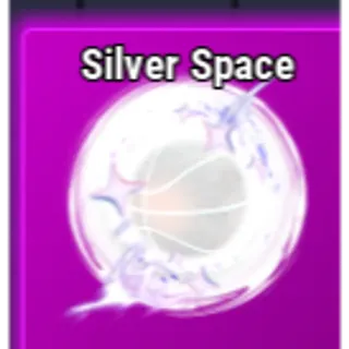 Silver Space