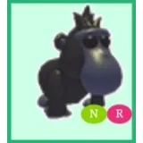 NEON BLACK MACAQUE RIDE