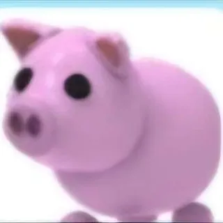 Pig