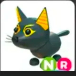 Neon Abyssinian Cat Ride