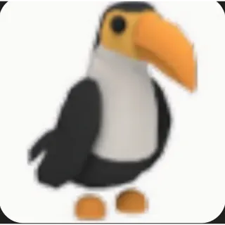 Toucan 