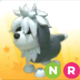 Neon English Sheepdog R