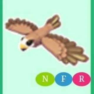 Neon Black Kite Fly Ride