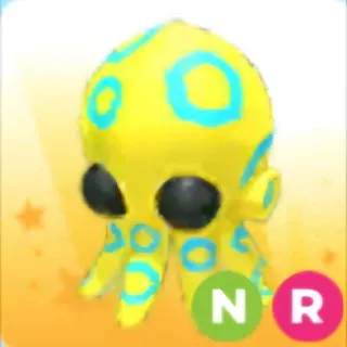 Neon Blue Ringed Octopus