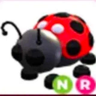 Neon Ladybug Ride