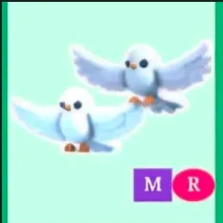 Mega Neon Turtle Doves R