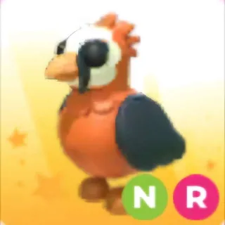 Neon Lammergeier Ride