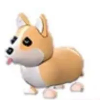 Corgi