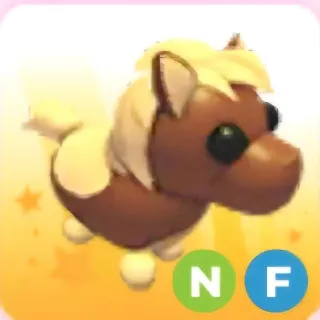 Neon Dark Brown Shetland Pony Fly