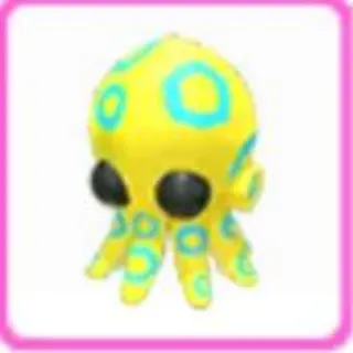 Blue Ringed Octopus