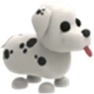FR DALMATIAN