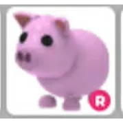 R PIG