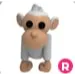 ALBINO MONKEY