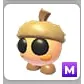discount pet