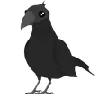 FR CROW
