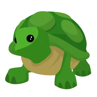 TURTLE