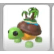 NO POT TORTUGA