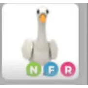 NFR SWAN