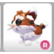 R MUNCHKIN CAT