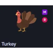 MR TURKEY