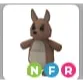 kangaroo