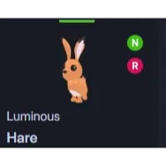 NR HARE