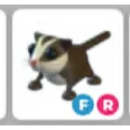 FR SUGAR GLIDER
