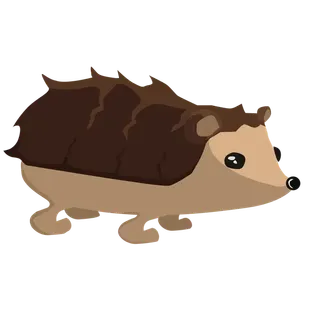 R HEDGEHOG