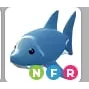 shark