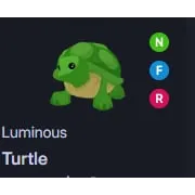 NFR TURTLE