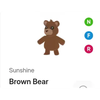 NFR BROWN BEAR