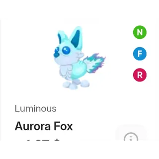 NFR AURORA FOX