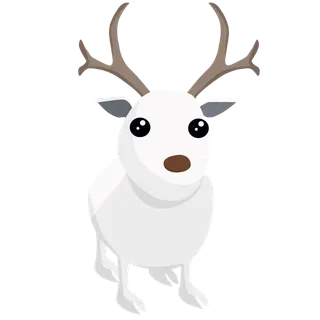 Arctic Reindeer