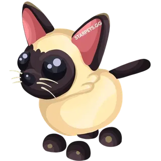 NP Siamese Cat