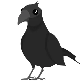 crow