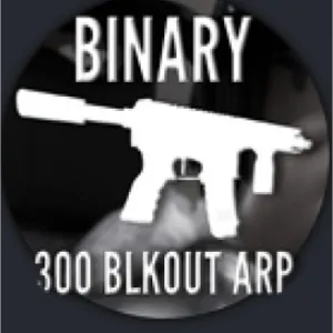 SOUTH BRONX 300 BLCKOUT