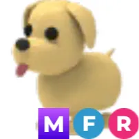 MFR DOG ADOPT ME
