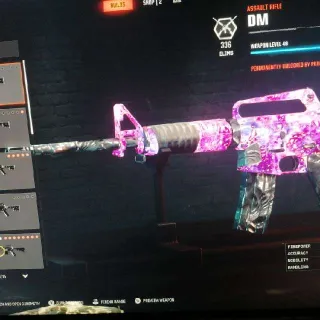 BLACK OPS 6 CAMMO SERVICE (all guns) *2 Camos* BO6