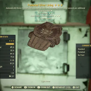 Pocketed Silver Lining