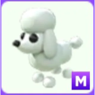 Mega poodle