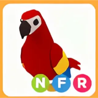 NFR PARROT