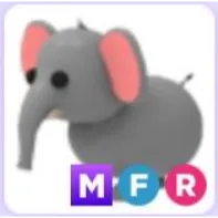 mfr elephant