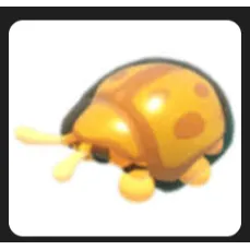 neon golden beetle tortoise